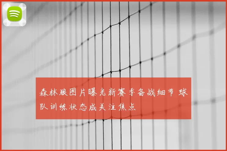 森林狼图片曝光新赛季备战细节 球队训练状态成关注焦点