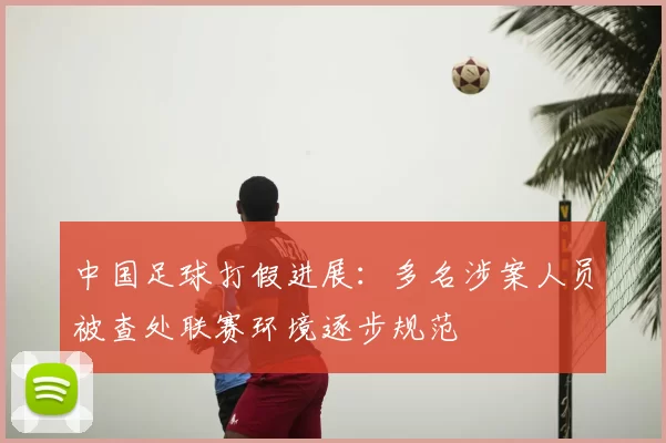 中国足球打假进展:多名涉案人员被查处联赛环境逐步规范