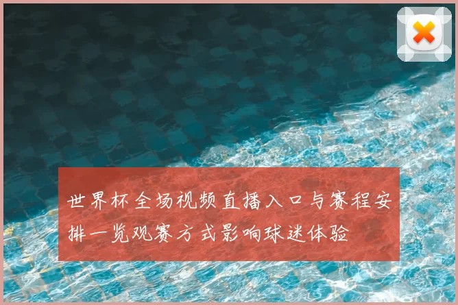 世界杯全场视频直播入口与赛程安排一览观赛方式影响球迷体验