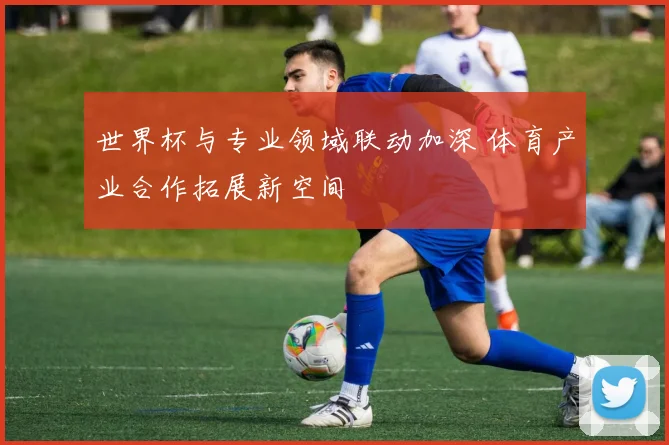 世界杯与专业领域联动加深 体育产业合作拓展新空间