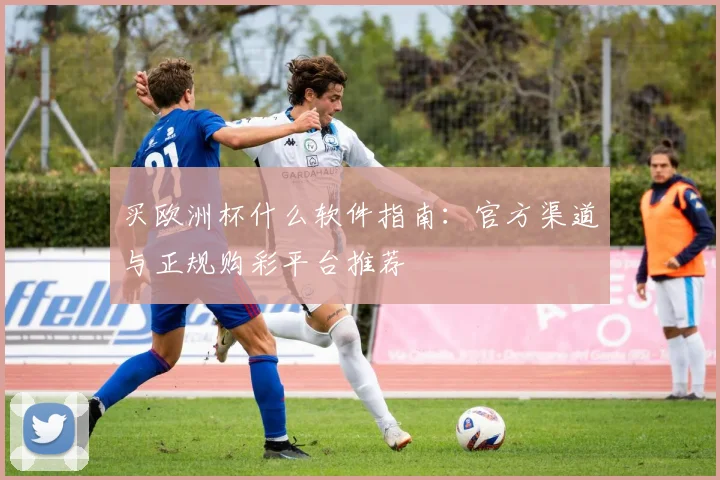 买欧洲杯什么软件指南:官方渠道与正规购彩平台推荐