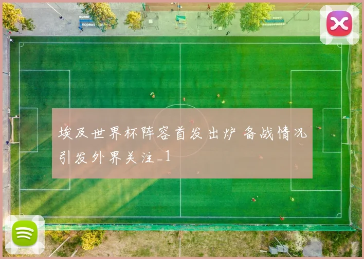 埃及世界杯阵容首发出炉 备战情况引发外界关注_1